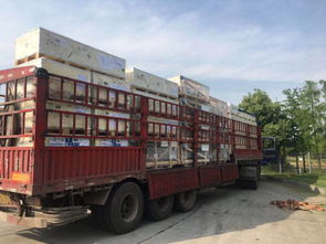 全國道路貨物運輸行業(yè)動態(tài)與商情資訊概覽