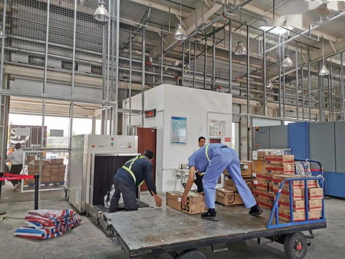 日照機場貨運站與順豐速運攜手，護航櫻桃季高效運輸