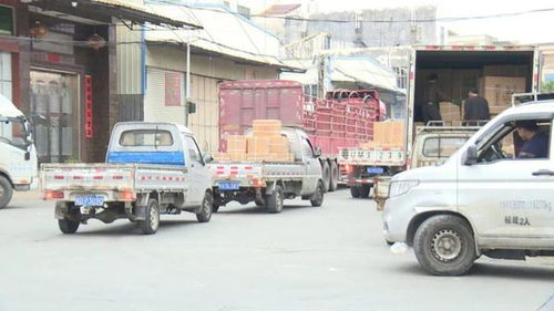 馬路變貨運(yùn)場(chǎng) 占道卸貨的隱患與道路運(yùn)輸安全之困